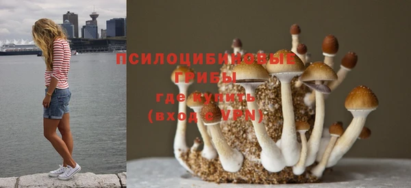 героин Алзамай