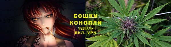 героин Алзамай