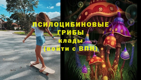 ALPHA PVP Алексин